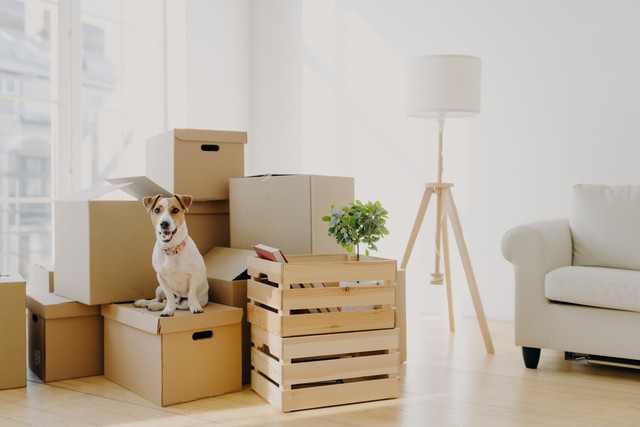 downsizing moving and packing sydney north shore 